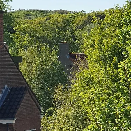 Scheveningen Sea Side 4* Haag