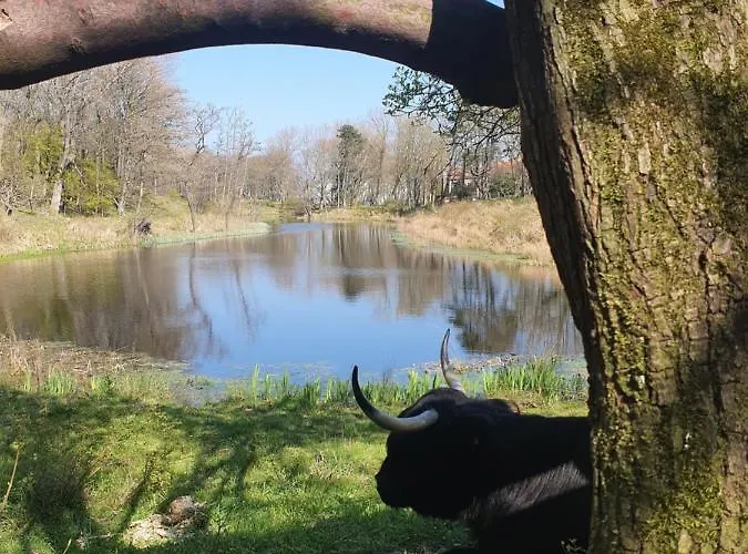 Scheveningen Sea Side Maison d'hôtes La Haye
