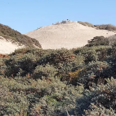 Scheveningen Sea Side Haag