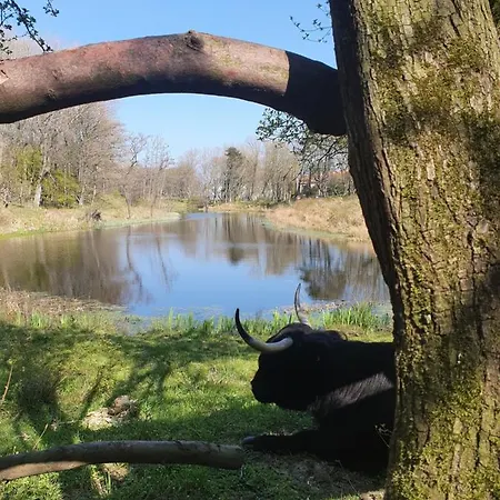 Scheveningen Sea Side Gæstehus Haag