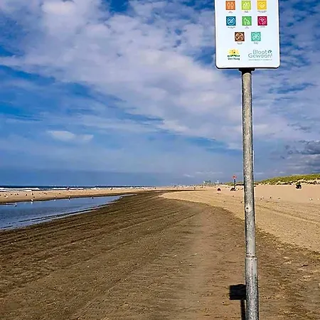 Scheveningen Sea Side Penzion Haag