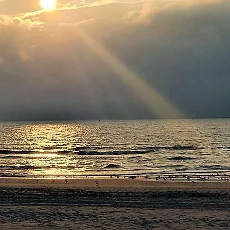 Scheveningen Sea Side Penzion Haag