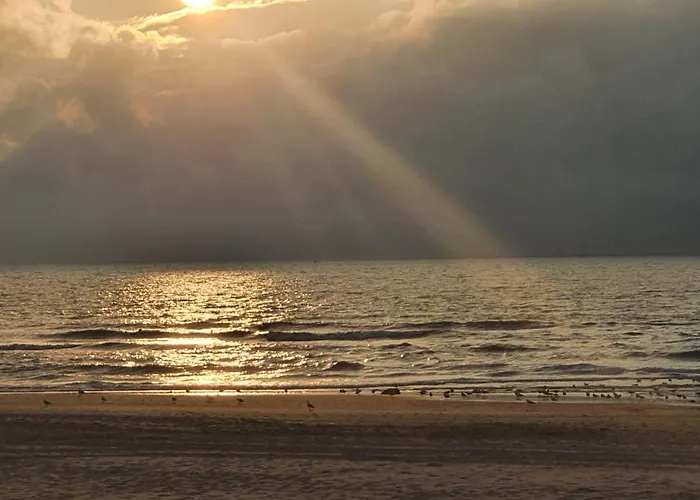 Scheveningen Sea Side 4* The Hague