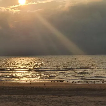 Scheveningen Sea Side 4* Haia