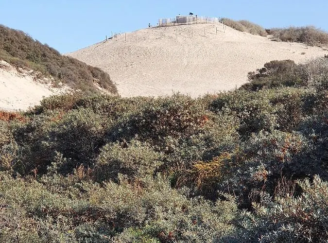 Scheveningen Sea Side Haia