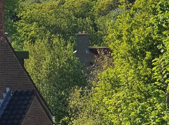 Scheveningen Sea Side 4* Haia